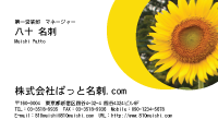 テンプレート名刺【plant-sunflower photo-d007-zyz】