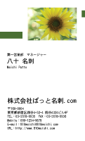 テンプレート名刺【plant-sunflower photo-d008-zyz】