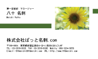 テンプレート名刺【plant-sunflower photo-d008-zyz】