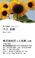 テンプレート名刺【plant-sunflower photo-d009-zyz】