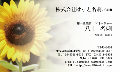 テンプレート名刺【plant-sunflower photo-d016-lm】