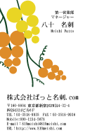 テンプレート名刺【plant-d087-zy-12】