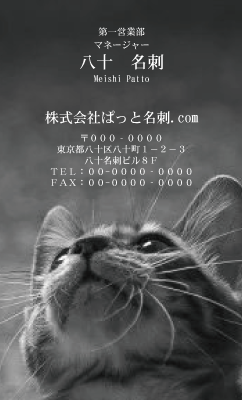 テンプレート名刺【cat photo-d001-zy】
