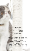 テンプレート名刺【cat photo-d002-zy】
