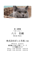 テンプレート名刺【cat photo-d003-zy】