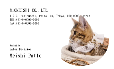 テンプレート名刺【cat photo-d004-zy】