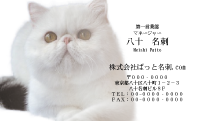 テンプレート名刺【cat photo-d005-zy】