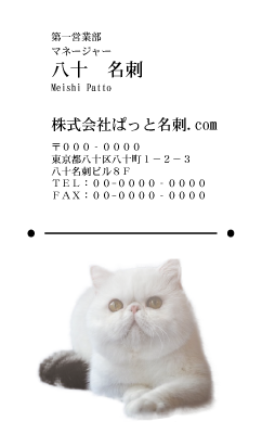 テンプレート名刺【cat photo-d005-zy】