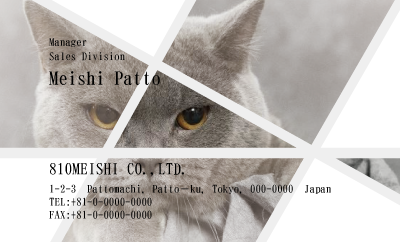 テンプレート名刺【cat photo-d006-zy】