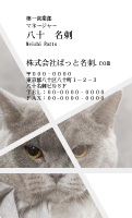 テンプレート名刺【cat photo-d006-zy】