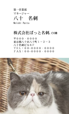 テンプレート名刺【cat photo-d007-zy】