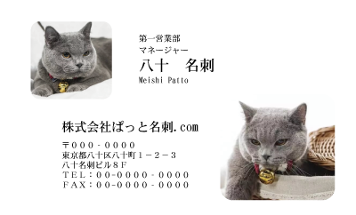 テンプレート名刺【cat photo-d008-zy】