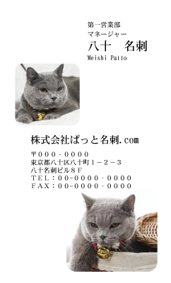 テンプレート名刺【cat photo-d008-zy】