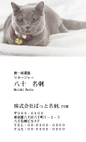 テンプレート名刺【cat photo-d009-zy】
