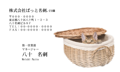テンプレート名刺【cat photo-d011-zy】