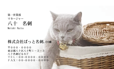 テンプレート名刺【cat photo-d012-zy】
