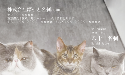 テンプレート名刺【cat photo-d013-zy】