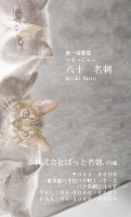 テンプレート名刺【cat photo-d013-zy】