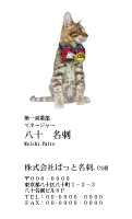 テンプレート名刺【cat photo-d014-zy】