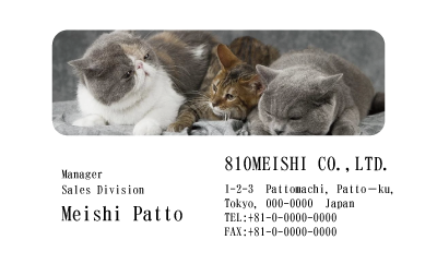 テンプレート名刺【cat photo-d015-zy】