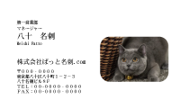 テンプレート名刺【cat photo-d016-zy】