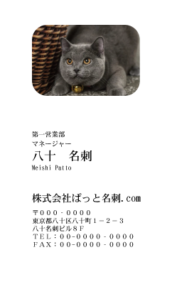テンプレート名刺【cat photo-d016-zy】