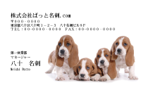 テンプレート名刺【dog photo-d001-zy】