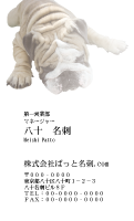 テンプレート名刺【dog photo-d002-zy】