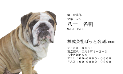 テンプレート名刺【dog photo-d003-zy】