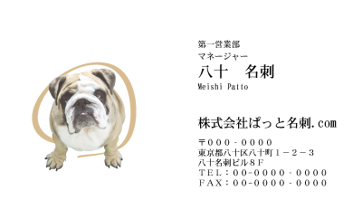 テンプレート名刺【dog photo-d004-zy】