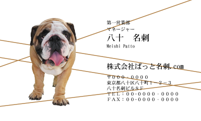 テンプレート名刺【dog photo-d006-zy】
