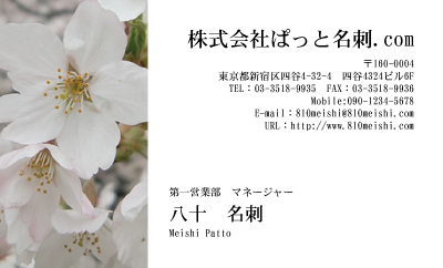 テンプレート名刺【plant- sakura photo-d001-yd】