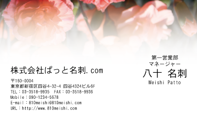 テンプレート名刺【plant-carnation photo-d012-lm】