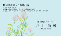 テンプレート名刺【plant-d271-zy-12】