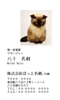 テンプレート名刺【cat photo-d026-zy】