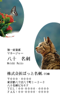 テンプレート名刺【cat photo-d027-zy】