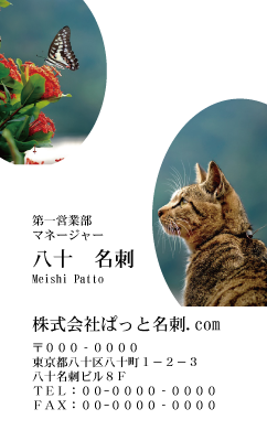 テンプレート名刺【cat photo-d027-zy】