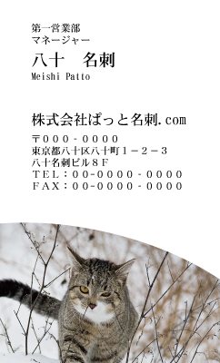 テンプレート名刺【cat photo-d031-zy】