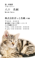 テンプレート名刺【cat photo-d033-zy】