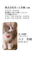 テンプレート名刺【cat photo-d034-zy】