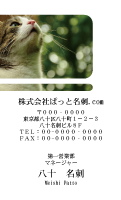 テンプレート名刺【cat photo-d035-zy】