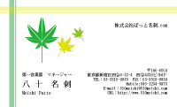 テンプレート名刺【plant-d215-zy-04】