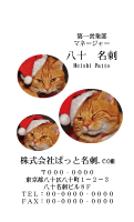 テンプレート名刺【cat photo-d040-zy】