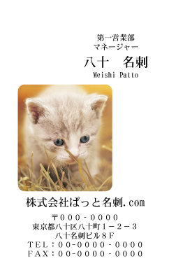 テンプレート名刺【cat photo-d041-zy】