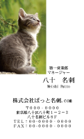 テンプレート名刺【cat photo-d042-zy】