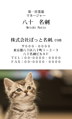 テンプレート名刺【cat photo-d043-zy】