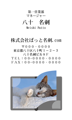 テンプレート名刺【cat photo-d044-zy】