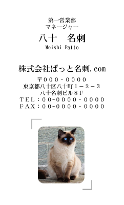 テンプレート名刺【cat photo-d045-zy】