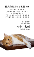 テンプレート名刺【cat photo-d047-zy】
