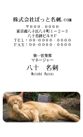 テンプレート名刺【cat photo-d048-zy】